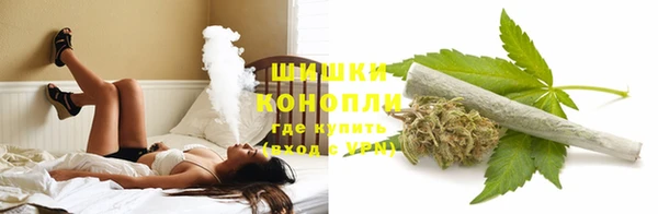 молекула духа Гусь-Хрустальный