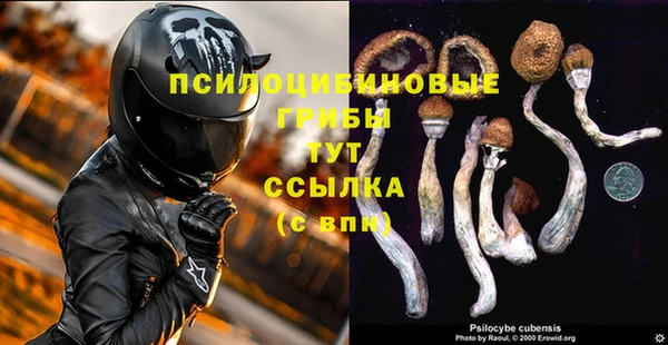 Альфа ПВП Гусиноозёрск