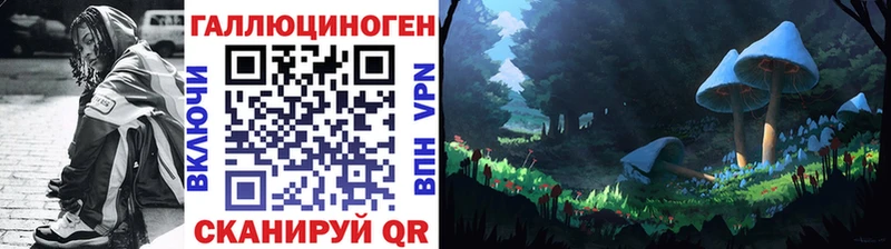 Псилоцибиновые грибы ЛСД  где купить наркоту  Новоалександровск 